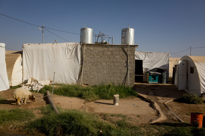 fluechtlingslager-irak-schaf