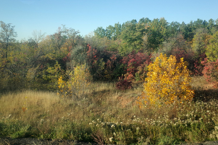 natur-frontlinie-ostukraine